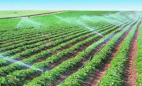 大屌操嫩逼视频农田高 效节水灌溉